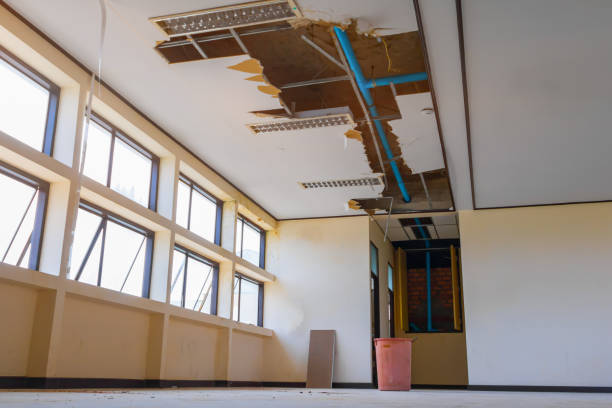 Best Residential water damage restoration  in White Sulphur Springs, MT