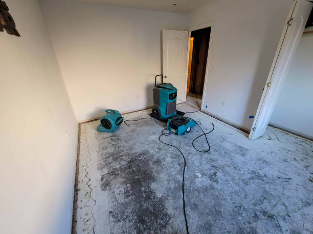 Trusted White Sulphur Springs, MT Water damage restoration Experts