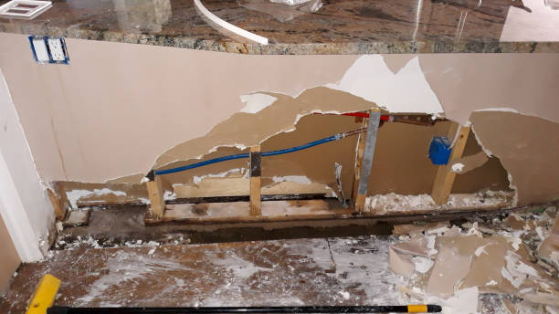 Best Flood damage cleanup  in White Sulphur Springs, MT
