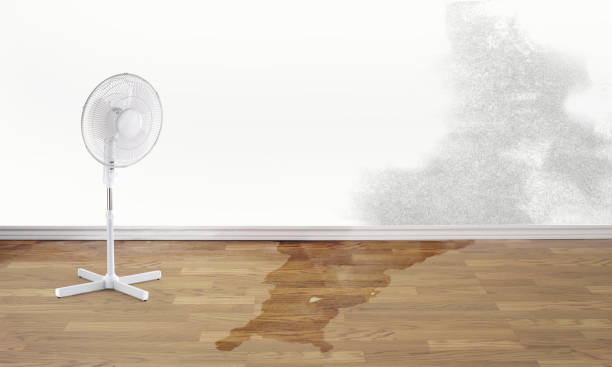 White Sulphur Springs, MT Water damage restoration Company
