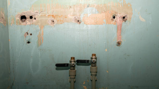 Best Water damage restoration near me  in White Sulphur Springs, MT