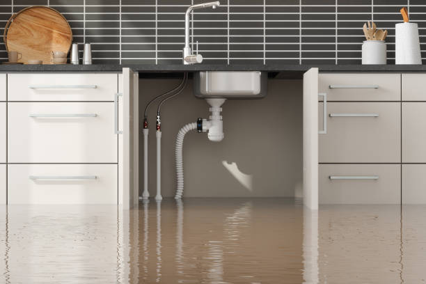 Best Water damage contractors near me  in White Sulphur Springs, MT
