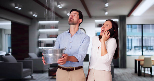 Best Ceiling water damage repair  in White Sulphur Springs, MT