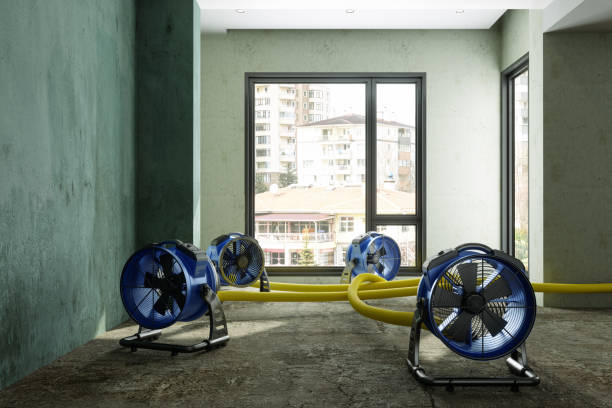 Best Water damage cleanup near me  in White Sulphur Springs, MT