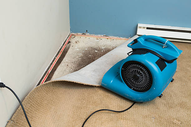Best 24-hour water damage restoration  in White Sulphur Springs, MT