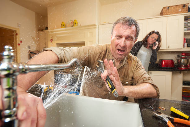 Best Professional water damage repair  in White Sulphur Springs, MT